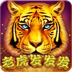 老虎發發發