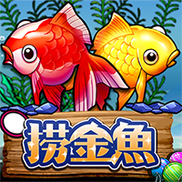 撈金魚