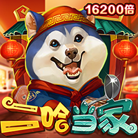 二哈當家